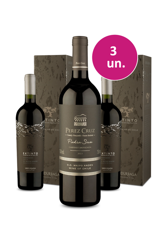 Kit 3 - Perez Cruz Piedra Seca D.O. Maipo Andes Cabernet Sauvignon 2023 +  Extinto Carménère D.O. Valle Del Cachapoal 2023 - Exclusivo We