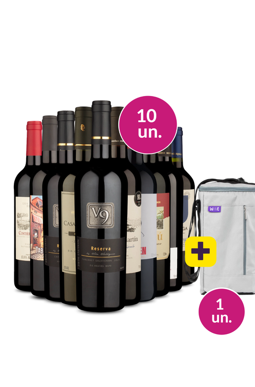 Kit 10 - Tintos Variados + Bolsa p/ 3 garrafas Grátis - Exclusivo We