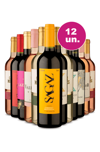 Kit 12 - Vinhos para todos os gostos! - Exclusivo We