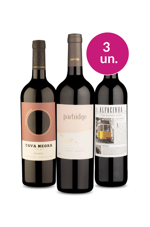 Kit 3 - Tintos Imperdíveis por R$99 - Oferta Absurda