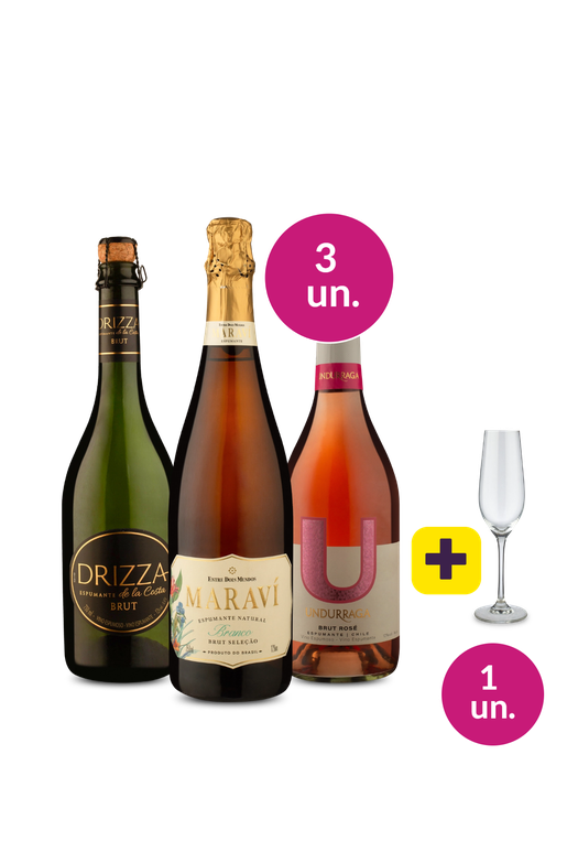 Kit 3 - Espumantes Respeitados + Taça de Cristal Grátis - Oferta Absurda