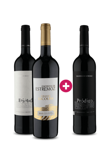Kit Leve 3 Pague 2 Premium Portugueses