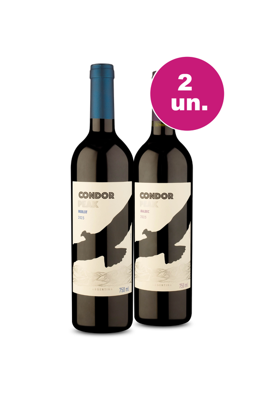 Kit 2 - Degustação Tintos - Lançamento Condor Peak