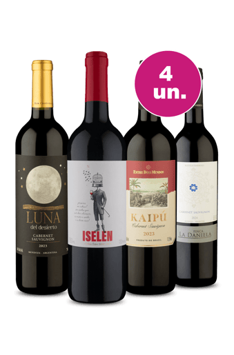 Kit 4 - Quem Bebe Tinto Nunca Sai do Bloco