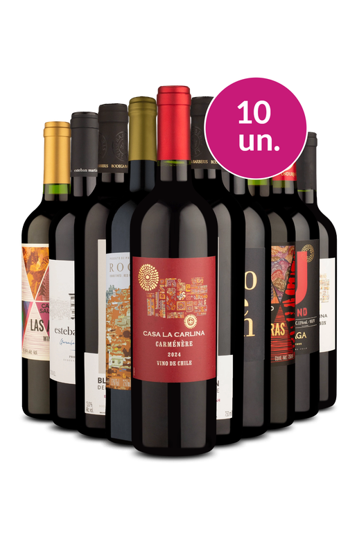Kit 10 - Degustação de uvas tintas - Exclusivo We