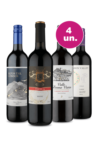 Kit 4 - Tintos Super Oferta Wine