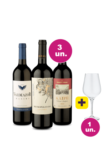 Kit 3 - Tintos Secos por R$99 + Taça Grátis