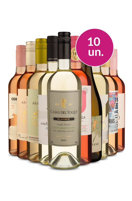Kit 10 - Refrescantes por 28,90 a garrafa - Exclusivo We