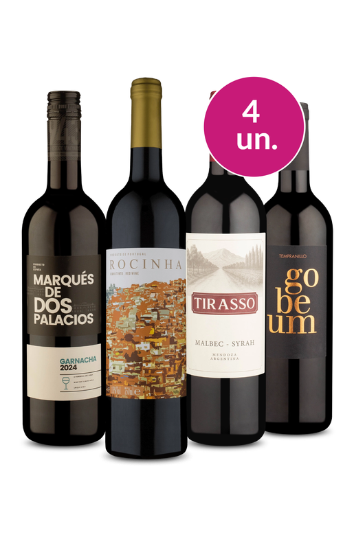 Kit 4 - Destaques por R$99 - Oferta Absurda IZ