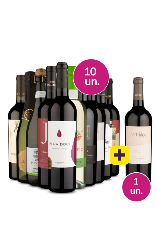 Kit 10 - Rótulos Imperdíveis + Flying Malbec Grátis - Oferta Absurda
