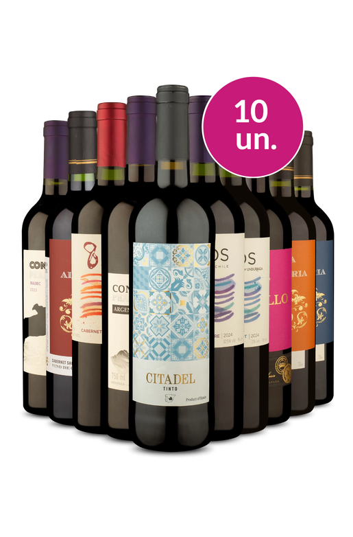 Kit 10 - Tintos Secos - R$25,90 por Garrafa