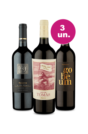 Kit 3 - Tintos Variados por R$99