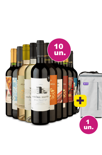 Kit 10 - Tintos por 35 + Bolsa Térmica para 3 garrafas Grátis - Exclusivo We