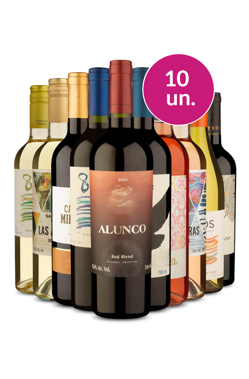 Kit 10 - Tintos, Brancos e Rosés no Precinho - Exclusivo We