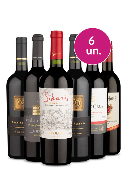 Kit 6 - Tintos de Primeira - Exclusivo We