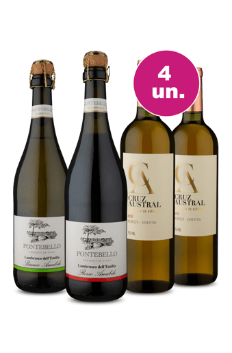 Kit 4 - Frisante Lambrusco e Cruz Austral Rosé