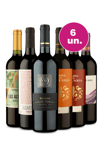 Kit 6 - Oportunidade Imperdível - R$27,90 por Garrafa
