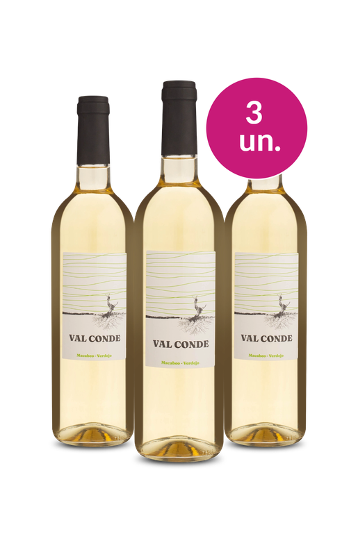 Kit 3 - Verdejo: Aromático, fresco e com acidez marcante - Exclusivo We