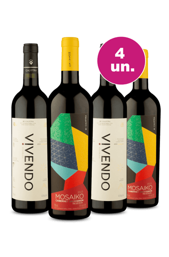 Kit 4 - Calyptra Mosaiko e Vivendo - Exclusivo WE