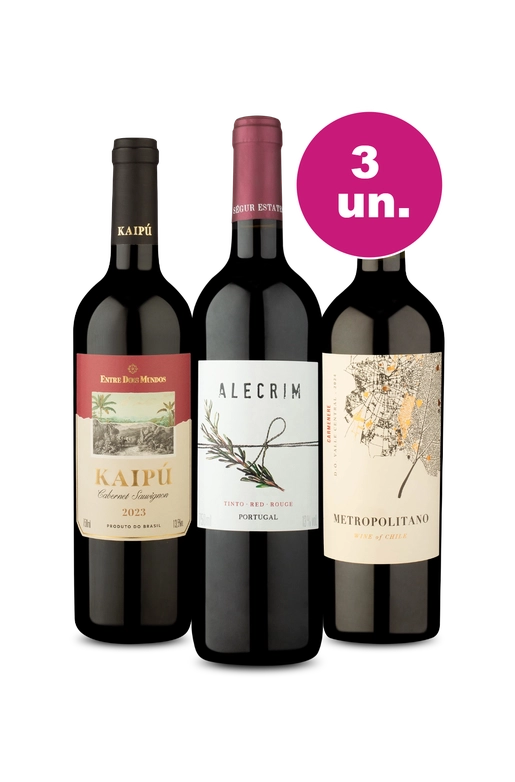 Kit 3 Por R$99 - Tintos Variados