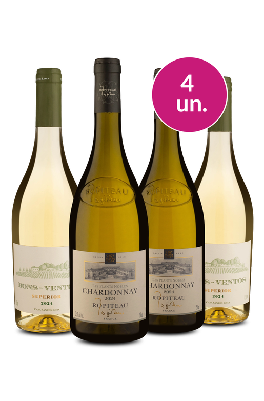 Kit 4 - Ropiteau e Bons-Ventos Superior - Exclusivo We