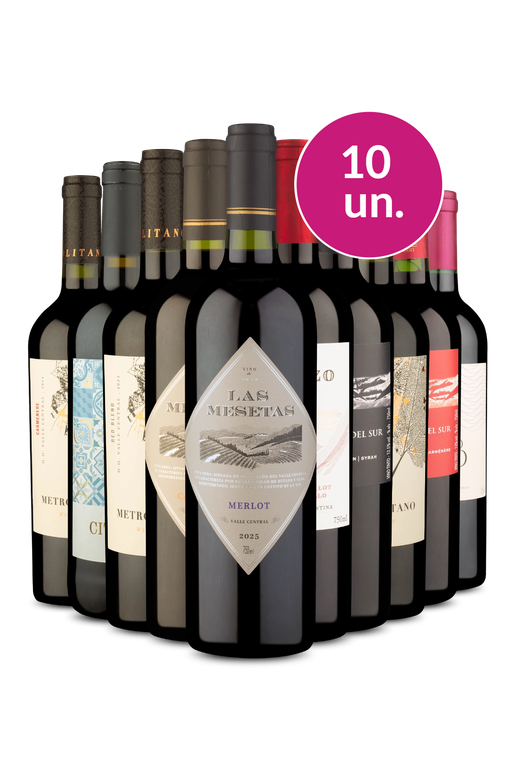 Kit 10 - Tintos Secos por R$24,90 por Garrafa - Exclusivo We