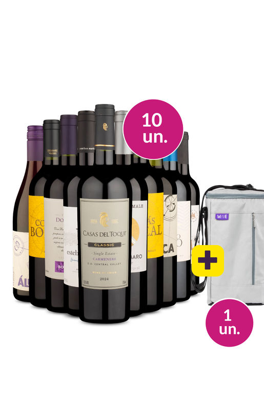 Kit 10 - Tintos Secos + Bolsa p/ 3 garrafas Grátis - Exclusivo We