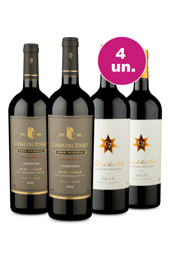 Kit 4 - Encontro de Campeões: Casas Del Toqui Carménère e Clos de Los Siete