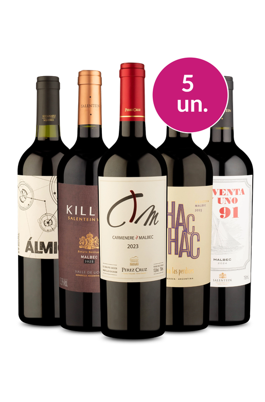 Kit 5 - Malbec! - Exclusivo We