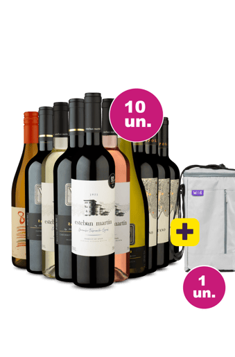 Kit 10 - Vinhos Queridinnhos + Bolsa Térmica para 3 garrafas Grátis - Exclusivo We
