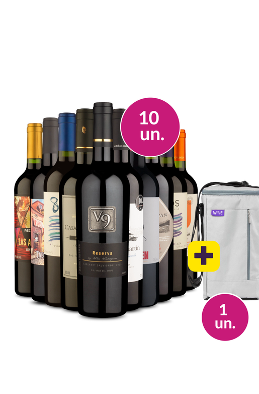 Kit 10 - Tintos Variados + Bolsa p/ 3 garrafas Grátis - Exclusivo We