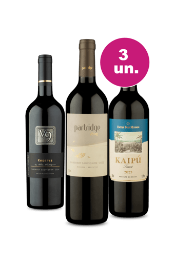 Kit 3 - Argentina, Chile e Brasil por R$99
