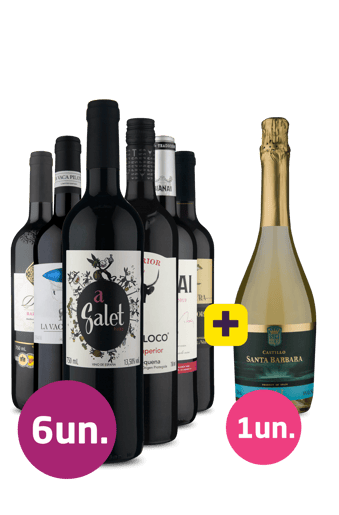Kit 6 - Tintos Espanhóis + Vinho Gaseificado Grátis