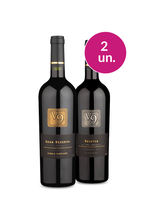 Kit 2 - Spoiler Pendura - V9 Gran Reserva e V9 Reserva