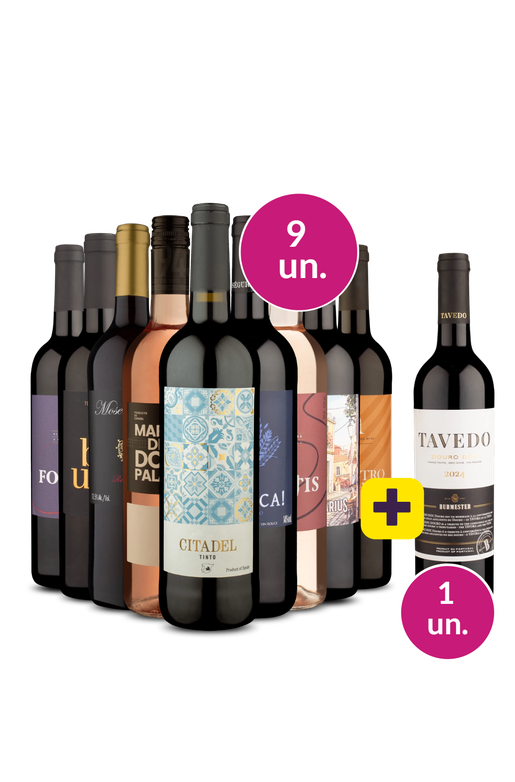 Kit 9 - Não me decidi entre Espanhois e Portugueses + Tavedo Grátis
