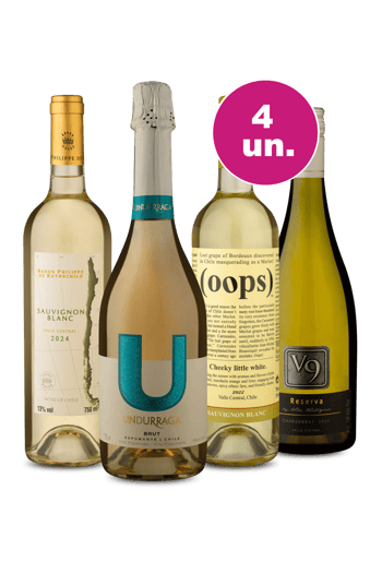 Kit 4 - Refrescantes do Valle Central