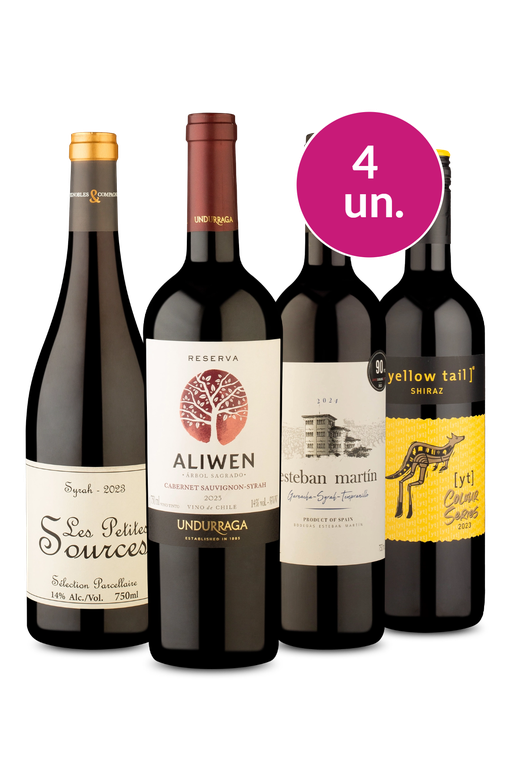 Kit 4 - Shiraz: Intensos, Encorpados e Refinados - Exclusivo We