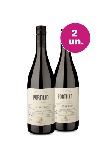Kit 2 - Portillo Valle De Uco Pinot Noir - Spoiler IZ