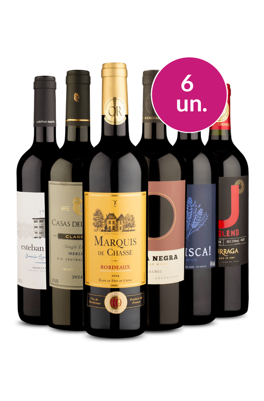 Kit 6 - Tintos Formidáveis - Exclusivo We