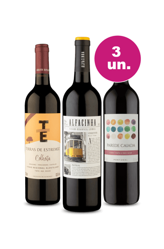 Kit 3 - Portugueses Campeões por R$99