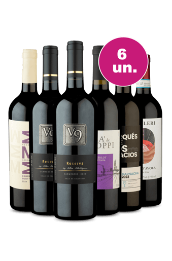 Kit 6 - Tintos Imperdíveis - R$29,90 por Garrafa - Spoiler Flash