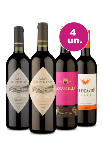 Kit 4 - Tintos por R$99 - Exclusivo