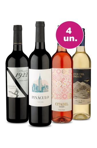 Kit 4 - Mesclados por R$29,90 Por Garrafa