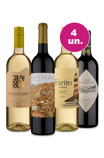Kit 4 - Imperdíveis por R$24,90 - Oferta Absurda