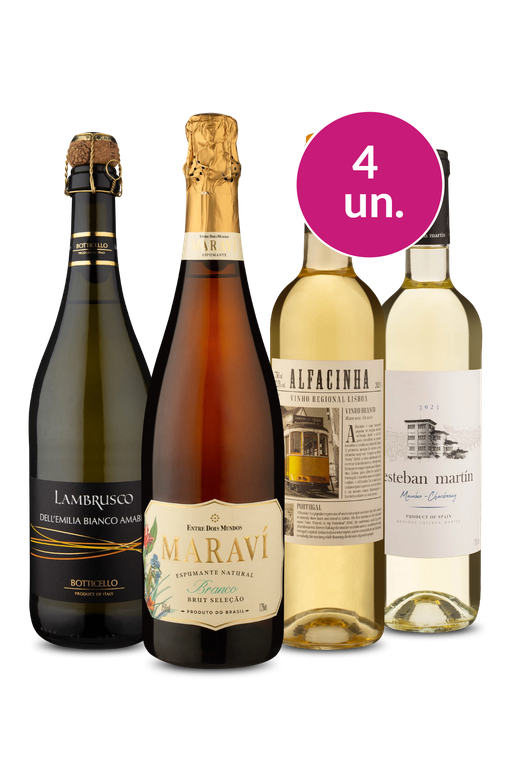 Kit Especial - Boas Vindas - Vinhos Refrescantes no Precinho