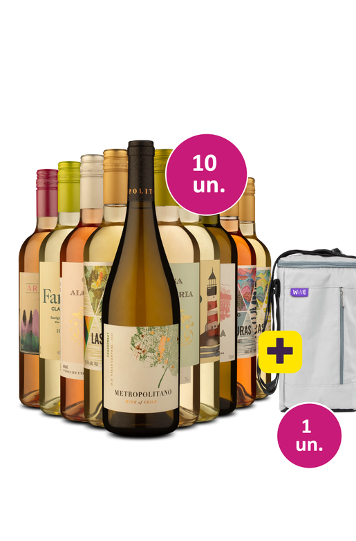 Kit 10 - Vinhos por 33 a garrafa + Bolsa Térmica para 3 garrafas Grátis - Exclusivo We