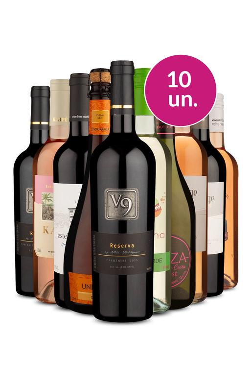 Kit 10 - Encontro de Sabores - Oferta Absurda