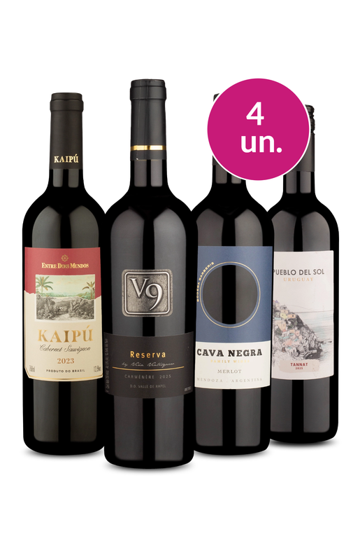 Kit 4 - Tintos Secos - Oferta Absurda