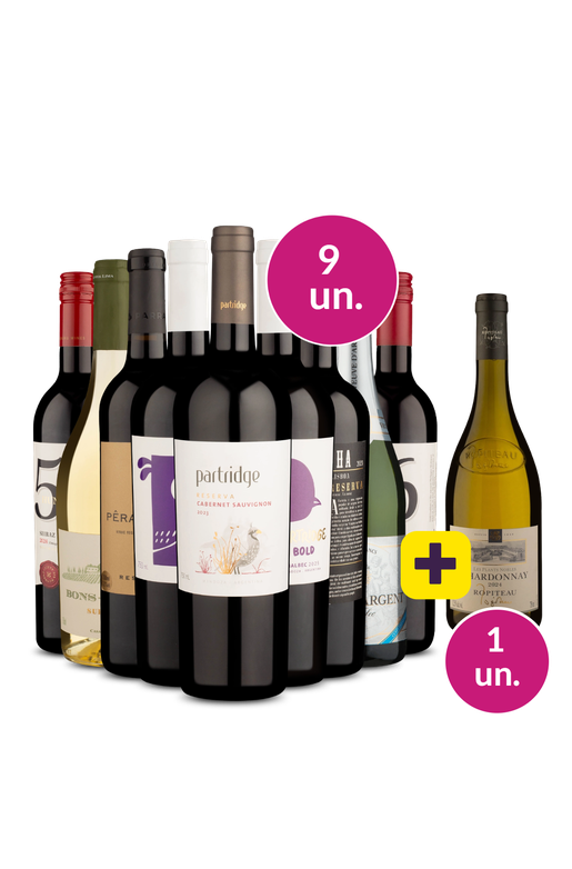 Kit 9 - Destaques + Ropiteau Frères Grátis - Oferta Absurda