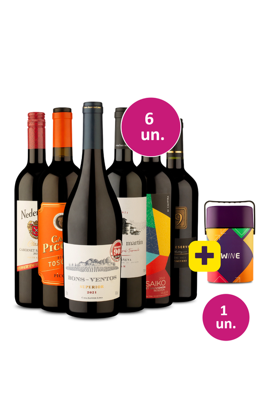 Kit 6 - Tintos Queridinhos + Cooler Retrô Grátis - Exclusivo We